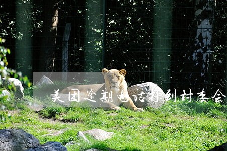 美团逾期电话打到村委会了怎么办 美团逾期电话打到村委会了怎么办