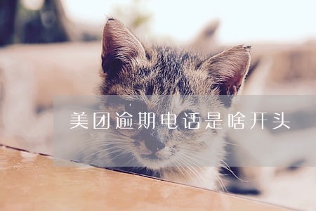 美团逾期电话是啥开头 美团逾期电话是啥开头