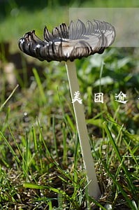 美团逾期电话要接吗 美团逾期电话要接吗