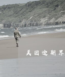 美团逾期界面 美团逾期界面