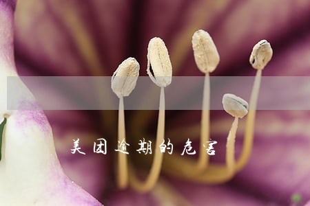 美团逾期的危害 美团逾期的危害