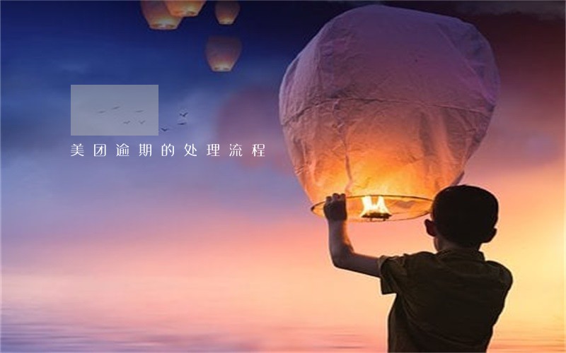 美团逾期的处理流程
