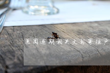 美团逾期相关文书寄往户籍地 美团逾期相关文书寄往户籍地