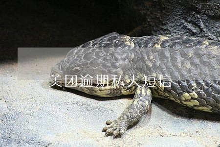 美团逾期私人短信 美团逾期私人短信