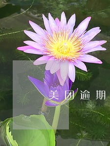 美团逾期移交本地 美团逾期移交本地