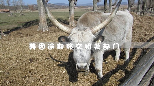 美团逾期移交相关部门 美团逾期移交相关部门