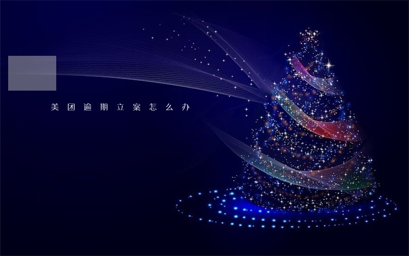 美团逾期立案怎么办 美团逾期立案怎么办