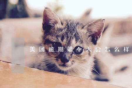 美团逾期第4天会怎么样 美团逾期第4天会怎么样