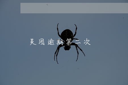 美团逾期第二次 美团逾期第二次