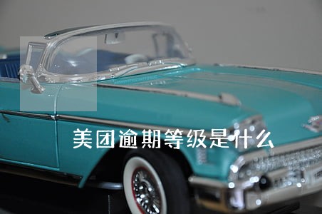美团逾期等级是什么