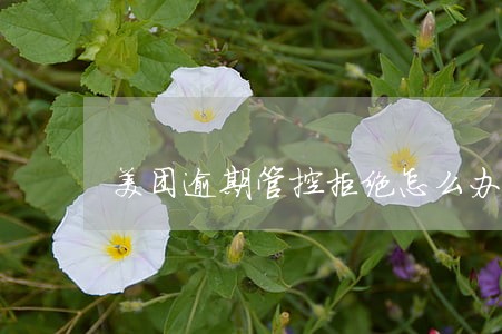 美团逾期管控拒绝怎么办 美团逾期管控拒绝怎么办