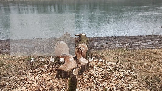 美团逾期经侦报案 美团逾期经侦报案