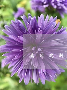 美团逾期绑定的卡秒扣吗