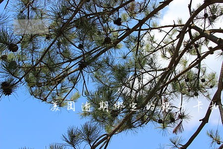 美团逾期绑定的银行卡扣款吗 美团逾期绑定的银行卡扣款吗
