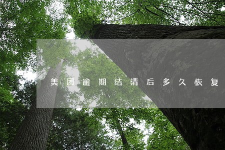 美团逾期结清后多久恢复 美团逾期结清后多久恢复