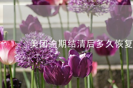 美团逾期结清后多久恢复使用额度 美团逾期结清后多久恢复使用额度
