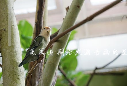 美团逾期给发通告函的是真的吗 美团逾期给发通告函的是真的吗