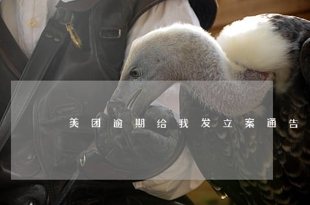 美团逾期给我发立案通告会怎样