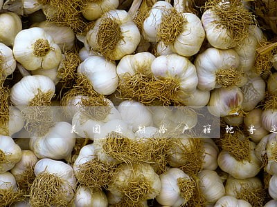 美团逾期给户籍地寄逾期信息