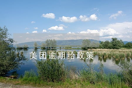 美团逾期给政策 美团逾期给政策
