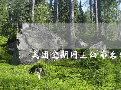 美团逾期网上公布名单