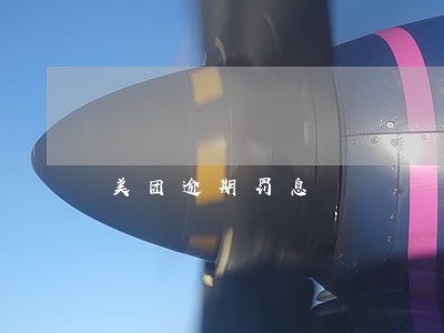 美团逾期罚息