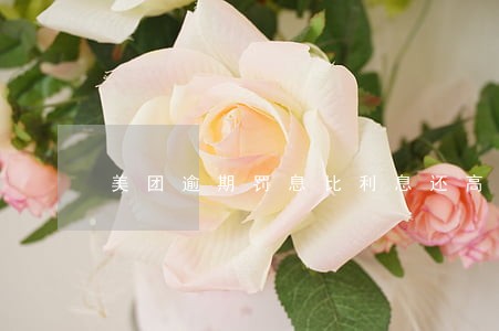 美团逾期罚息比利息还高合法吗 美团逾期罚息比利息还高合法吗