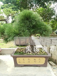 美团逾期罚息能不能减免