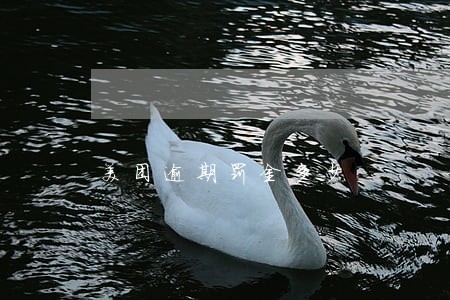 美团逾期罚金多少