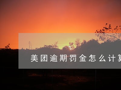 美团逾期罚金怎么计算