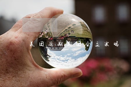 美团逾期美团会立案吗 美团逾期美团会立案吗