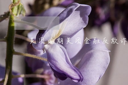 美团逾期美团金融反欺诈 美团逾期美团金融反欺诈