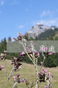 美团逾期老收到短信