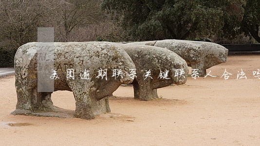 美团逾期联系关键联系人合法吗 美团逾期联系关键联系人合法吗