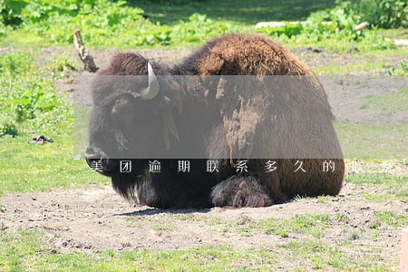 美团逾期联系多久的联系人 美团逾期联系多久的联系人