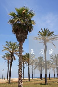 美团逾期联系家人 美团逾期联系家人