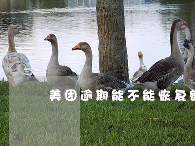 美团逾期能不能恢复额度 美团逾期能不能恢复额度
