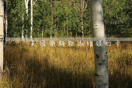 美团逾期能冻结银行卡 美团逾期能冻结银行卡