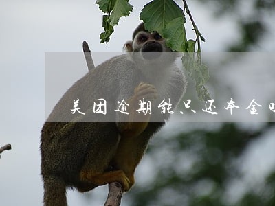 美团逾期能只还本金吗