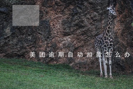 美团逾期自动扣款怎么办 美团逾期自动扣款怎么办