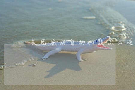 美团逾期自动扣款怎么设置 美团逾期自动扣款怎么设置