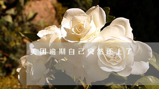 美团逾期自己突然还上了 美团逾期自己突然还上了