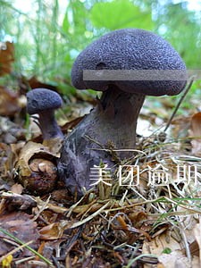美团逾期自称美团法务部 美团逾期自称美团法务部