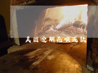 美团逾期花呗还款 美团逾期花呗还款