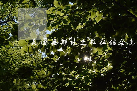 美团逾期被上报征信会怎么样 美团逾期被上报征信会怎么样