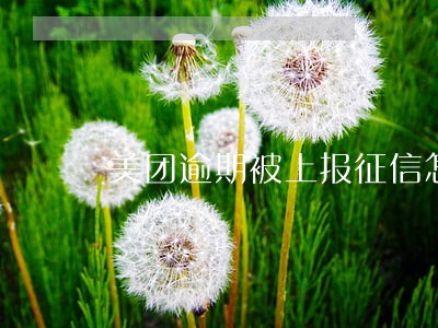 美团逾期被上报征信怎么办 美团逾期被上报征信怎么办