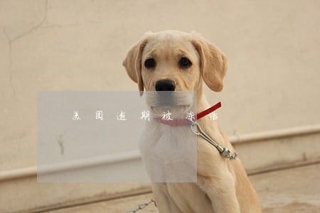 美团逾期被冻结 美团逾期被冻结
