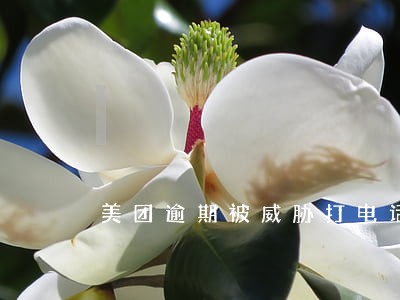 美团逾期被威胁打电话 美团逾期被威胁打电话
