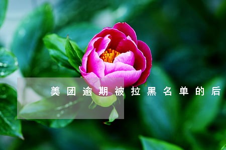 美团逾期被拉黑名单的后果 美团逾期被拉黑名单的后果