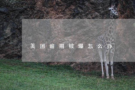 美团逾期被爆怎么办 美团逾期被爆怎么办